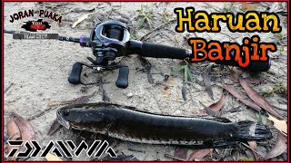 Casting Haruan Di Spot Banjir || Daiwa Tatula SV TW 2020 || Daiwa Infeet || Mancing Ikan Gabus.