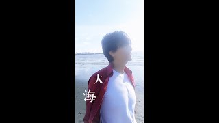 低音質翻唱 | 大海 | cover |