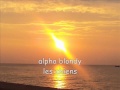 alpha blondy les chiens