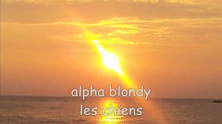 alpha blondy les chiens