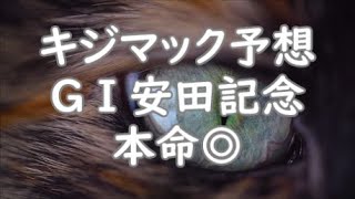 【競馬】2021年GⅠ安田記念キジマック予想◎