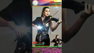 Tum Hi Ho | aashiqui 2 | Halo Strings Bollywood violinist | #shorts #shortfeed #@Vyptalenttv24