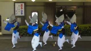 久米川連☆中村橋阿波踊り2016 in 中村橋駅前広場