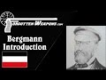 Introduction to the Bergmann Pistols