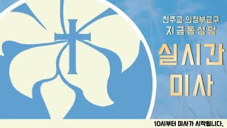 연중 제3주간 금요일 미사 - 지금동성당