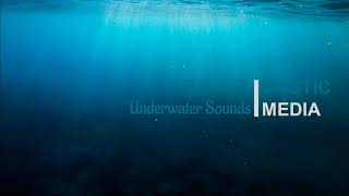 물속소리(Underwater Sounds)-5분후 검은화면, 바닷속소리, 꿀잠, 휴식, Relaxing, Insomnia, 불면증, 잠수, 잠잘오는소리