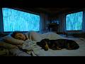 Rain Sounds for Sleeping - Cozy Car Cabin in Heavy Rain with Gentle Thunder for Deep Sleep