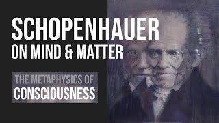 Schopenhauer on Mind & Matter