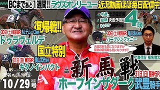 【椎チャンネル】椎名の馬部屋_10/28撮影_近況報告