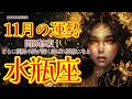 🌹🕊2024年11月の運勢【水瓶座】お仕事・人間関係＆恋愛・金運🗝️🌹#水瓶座