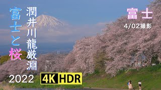 2022 龍厳淵の富士と桜(4K-HDR) Mt. Fuji \u0026 Cherry Blossoms At Ryuganbuchi(UHD-HDR)