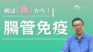 病は「腸」から！話題の「腸管免疫」について徹底解説！ - おしえて真野せんせい #13