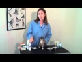 What you Need to Know About Internal Parasites in Kittens What you Need to Know About Internal Parasites in Kittens