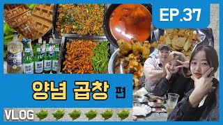 부산 현지인만 가는 곱창 맛집ㅣ감만동 풍년곱창ㅣBUSAN MUKBANG VLOG