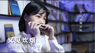 又见炊烟升起，暮色照大地｜小姐姐口琴演奏邓丽君经典名曲【吹口琴的小园园】