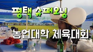 평택시 슈퍼오닝 농업대학 체육대회 농업인 섹소폰 연주 영시의 이별