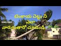 టెంకాయ చెట్టు ని ఎలా నారుకుతారో చూడండి..🌴🌴 how to cut coconut tree technical farmers