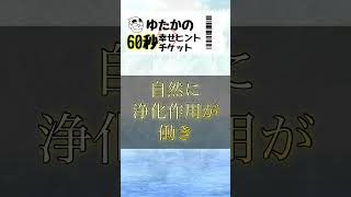 年に一回は必ず参拝している最強のパワースポットをご紹介します#スピリチュアル #江ノ島神社 #パワースポット #神社 #浄霊 #浄化