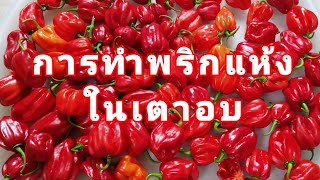 การทำพริกแห้งในเตาอบ : ง่าย สะดวก อร่อย - how to dry chillies in the oven🌶️🌶️🌶️ (1 Nov. 20)