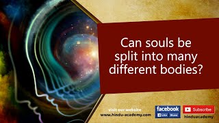 Can souls be split into many different bodies?