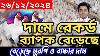 বেড়েছে মুরগির দাম রেডি মুরগি ও বাচ্চার পাইকারি দাম #ব্রয়লার_মুরগি_পালন তাং-২৬-১২-২৪ইং