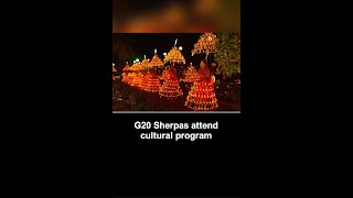 G20 Sherpas attend cultural program in Udaipur