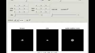 Dynamic Step Distance Transforms