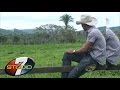 BANDA 100 PAREA Saco de estopa
