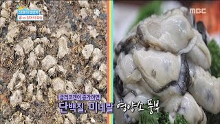 [Happyday] Healthy food : oyster 스태미나 최강자! '굴'의 효능 [기분 좋은 날] 20161017