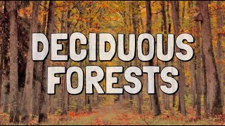 What Is a Deciduous Forest Biome?