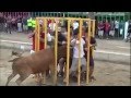 MOST FATAL BULL ATTACKS - MUST SEE