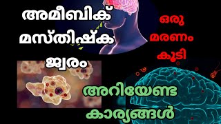 അമീബിക് മസ്തിഷ്കജ്വരം - AMOEBIC MENINGO ENCEPHALYTIS അറിയേണ്ട കാര്യങ്ങൾ