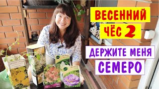 ОПЯТЬ НАКУПИЛА САЖЕНЦЕВ! Держите меня семеро!