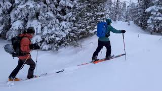 A fine cold ski day in the backcountry.