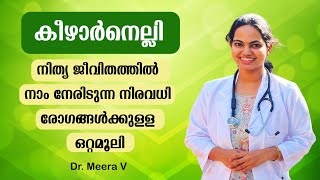 എല്ലാ രോഗത്തിന് ഉള്ള ഒറ്റമൂലി കീഴാര്‍ നെല്ലി | Keezhar Nelli | Health Tips Malayalam | Dr Meera V |