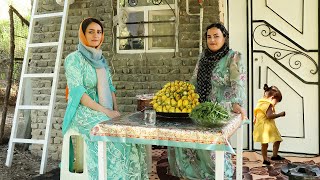 The life routine of hardworking rural girls, the nomadic and rural lifestyle of Iran.