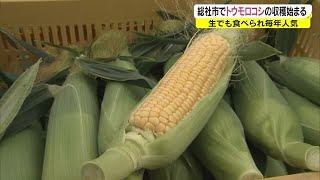 果物より甘い！？　“生で食べられる”トウモロコシ　シーズン到来！　【岡山・総社市】 (22/05/31 18:02)