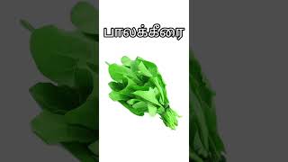 கீரை வகைகள் | கீரைகள் | கீரை வகைகள்