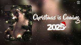 CHRISTMAS IS COMING!!! 🎄 Christmas Songs 2025 🎄 This playlist will make you feel closer to Christmas