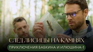 ЧАСТНЫЕ ДЕТЕКТИВЫ РАСКРЫВАЮТ ТАЙНЫ: «Приключения Бабкина и Илюшина» 1 СЛЕД ЛИСИЦЫ НА КАМНЯХ