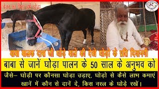 बाबा बालक दास जी की घोड़ों के प्रति ऐसी दीवानगी कहीं नहीं देखी होंगी, See the erotomania for horses