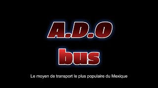 ADO BUS Playa Del Carmen / Transport Mexique