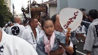 荻窪　白山神社　令和元年　例大祭　本社神輿　2019/9/7  Ogikubo Hakusan Jinja Festival 10