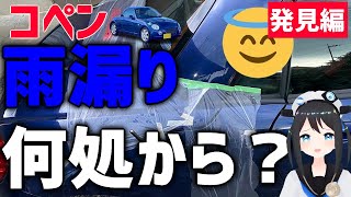 【雨漏り】車内がずぶぬれ…雨漏りの原因はココだった【L880K】