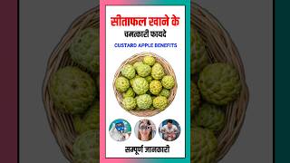 सीताफल (शरीफा) खाने के फायदे | Custard Apple Benefits #Sitafal #Custardapple #sharifa