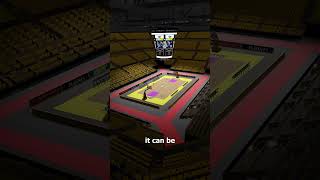 Why Basketball Hoops Have Nets