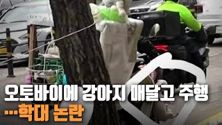 오토바이에 강아지 매달고 주행…학대 논란 / KBS 210912