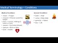 Medical Terminology - The Basics - Lesson 4