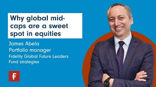 Why global mid-caps are a sweet spot in equities