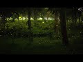 percussion sextet flickering fireflies by jinsil lee